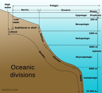 Oceans - Earth Science Review